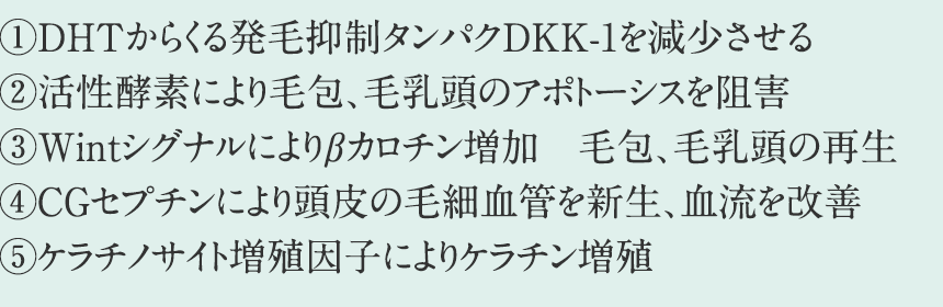 ファンクショナルペプチド達の詳しい作用